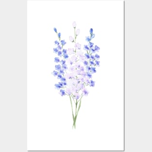 Delphiniums, floral watercolor painting Posters and Art